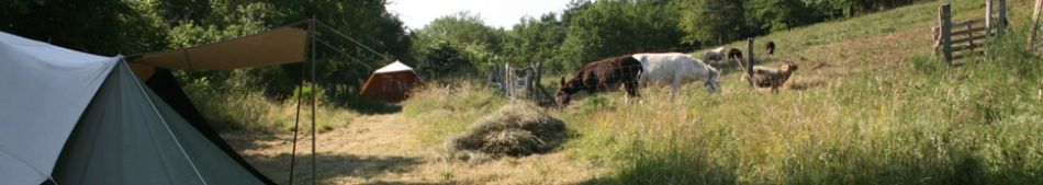 camping à coté des animaux de la ferme